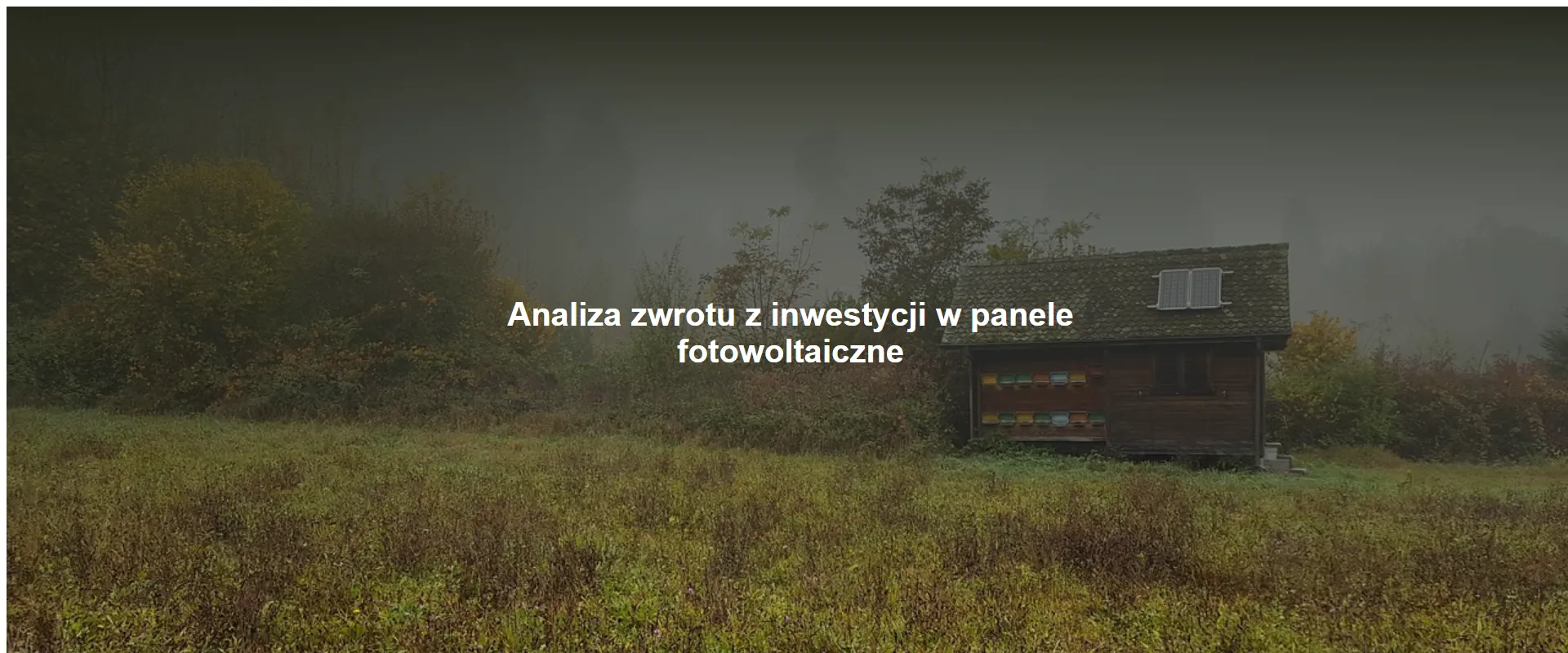 Analiza zwrotu z inwestycji w panele fotowoltaiczne