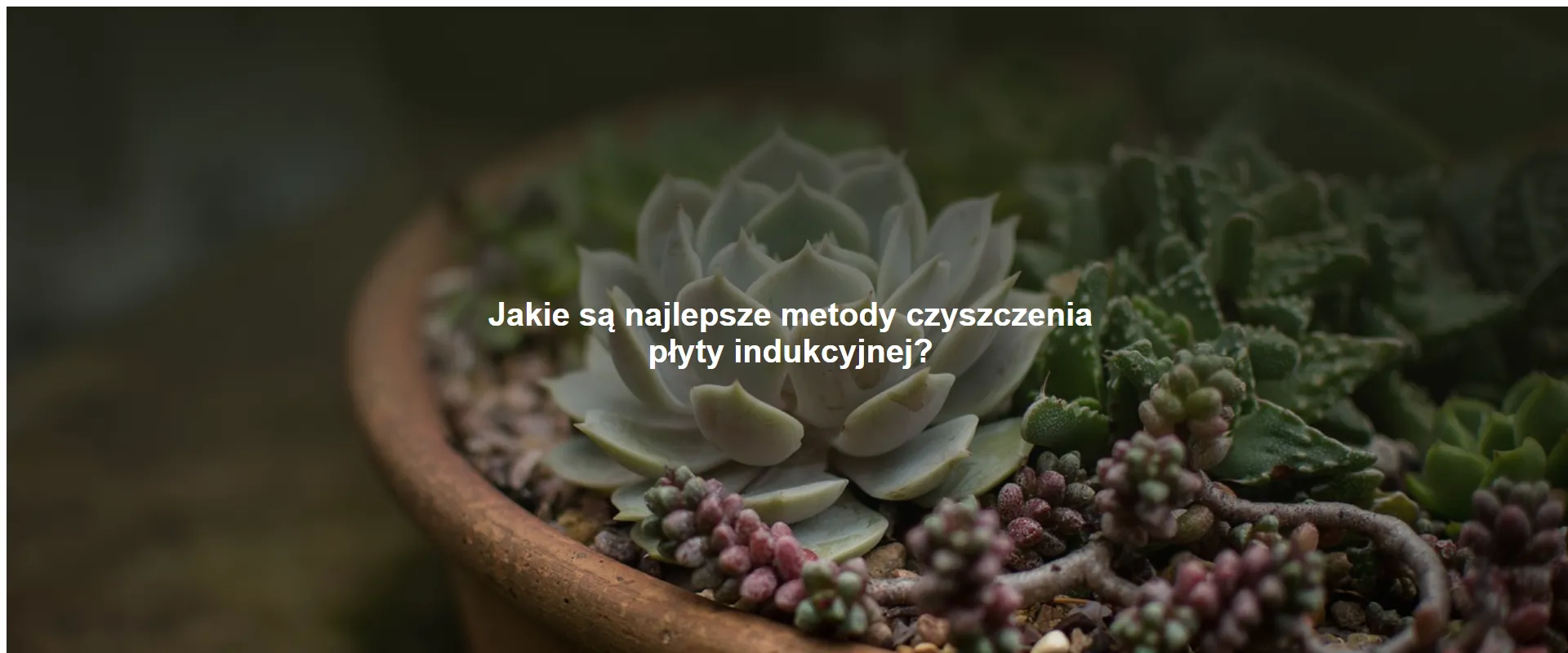 Jakie są najlepsze metody czyszczenia płyty indukcyjnej?