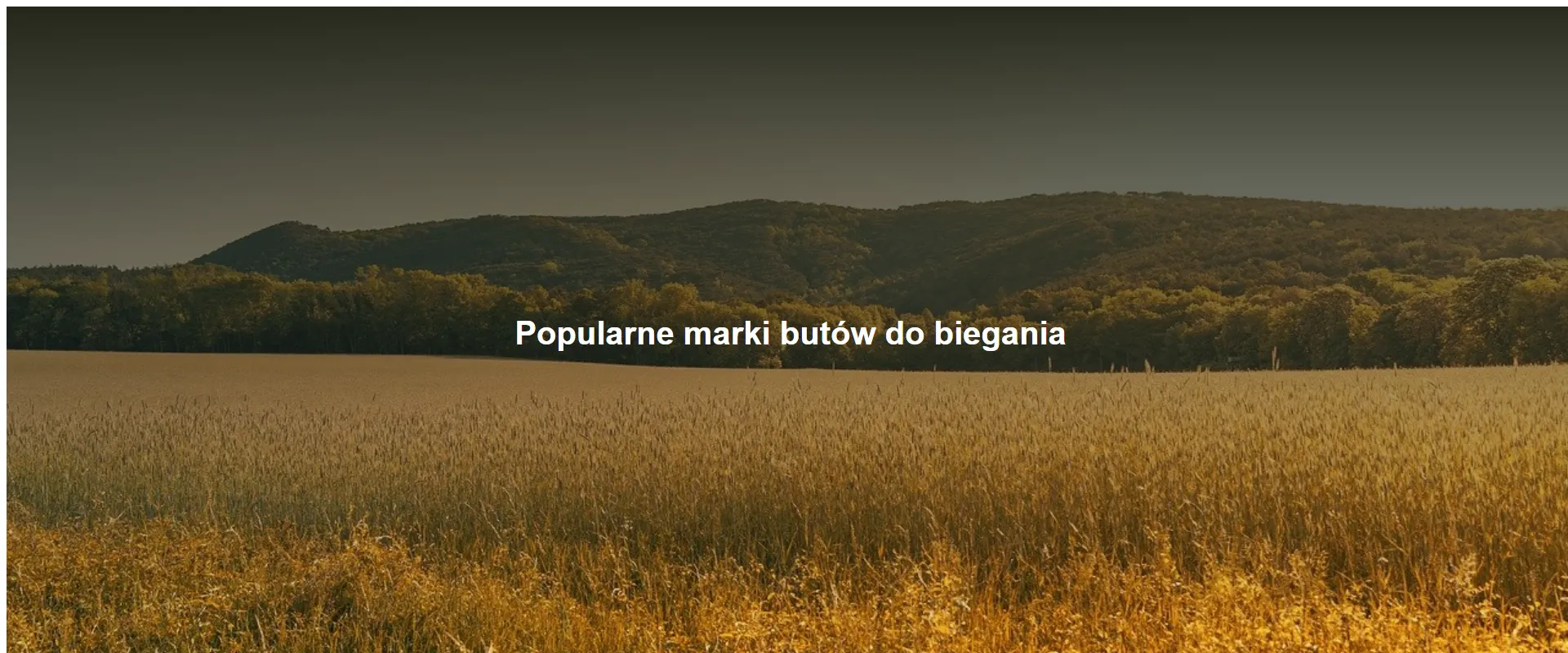 Popularne marki butów do biegania